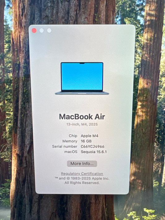 2025 Apple MacBook Air M4 13" 8C GPU 16GB 256GB A3240 100%BH