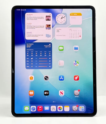 Apple iPad Pro 13" M4 A2926 256GB Wi-Fi + Cellular Space Black Unlocked Used